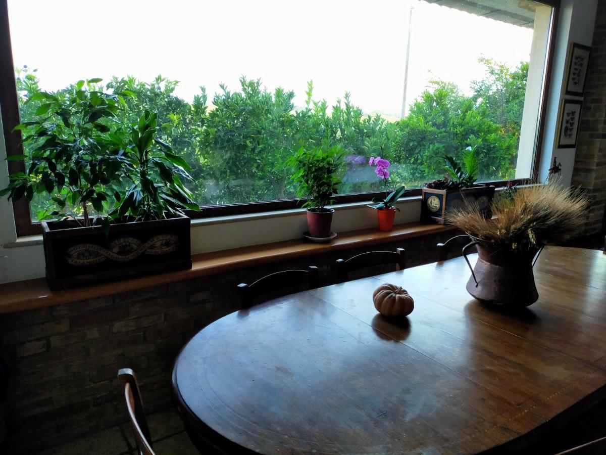 Bed and Breakfast Casale Del Sole Cepagatti Exterior foto