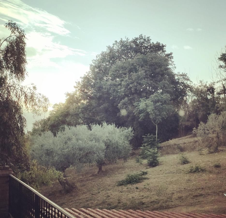 Bed and Breakfast Casale Del Sole Cepagatti Exterior foto