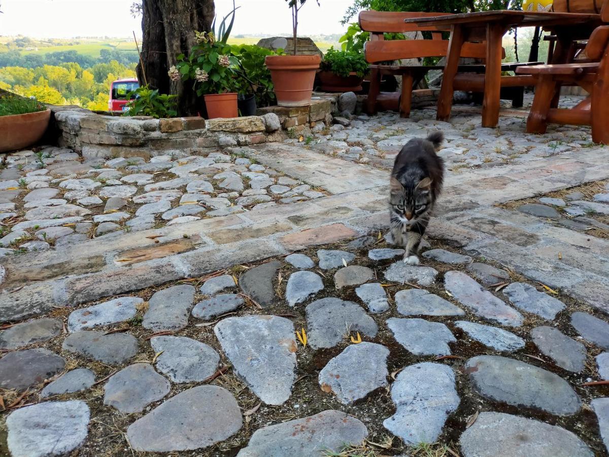 Bed and Breakfast Casale Del Sole Cepagatti Exterior foto